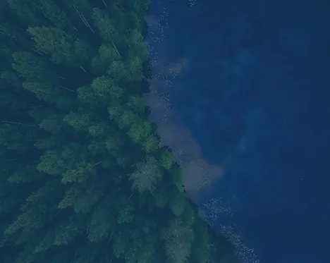 environmental feature